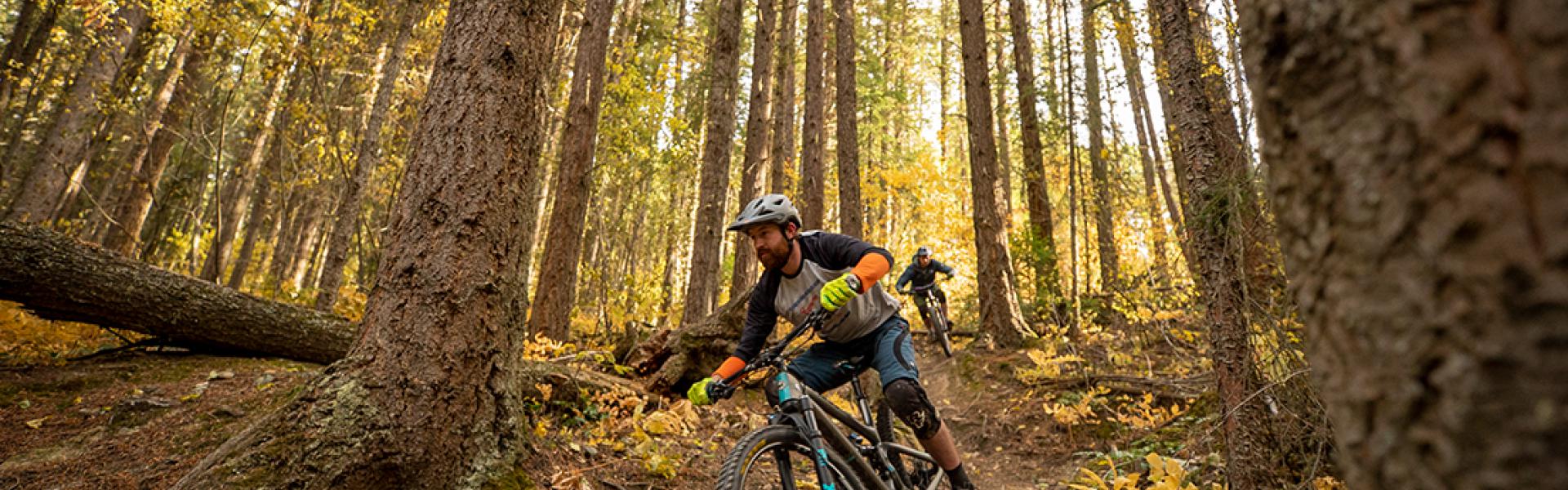 Two mountain bikers riding down Dragon Mountain in the fall
