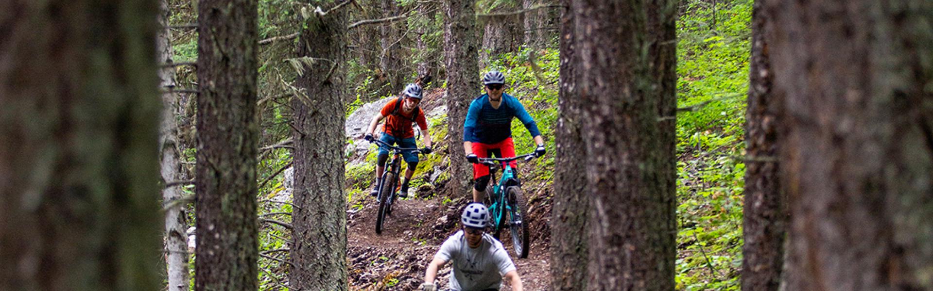Three mountain bike riders shredding through trees