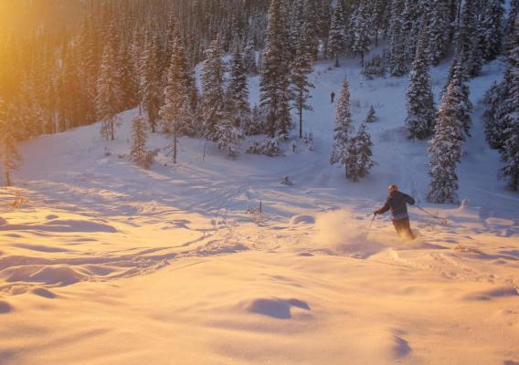 daxjustin-snowseekers-troll-1