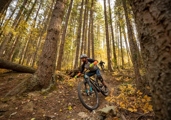 Two mountain bikers riding down Dragon Mountain in the fall